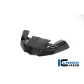 Ilmberger Carbon Front Beak Front Extension for the BMW R 1250 GS 2019 Ilmberger Carbon Front Beak Front Extension for the BMW R 1250 GS 2019